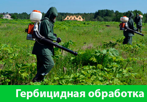 Гербицидная обработка в городе Томск