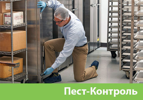 Пэст-Контроль в городе Томск